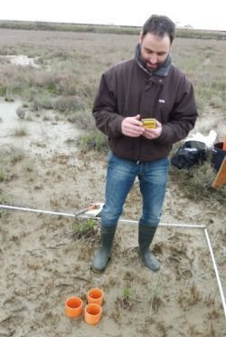 SEM AVS approach soil metals