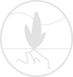 Plant and soil research